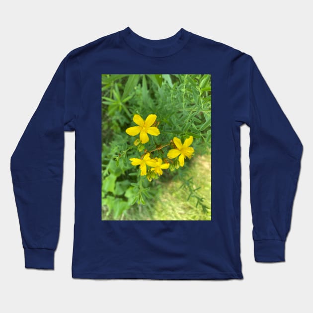 Pretty Yellow Wildflowers Long Sleeve T-Shirt by Amanda1775